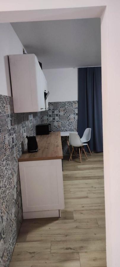 Villa U Skupniow Suche-Zakopane بورونين المظهر الخارجي الصورة