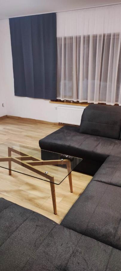 Villa U Skupniow Suche-Zakopane بورونين المظهر الخارجي الصورة